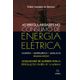 As-Irregularidades-no-Consumo-de-Energia-Eletrica---2ª-Edicao As-Irregularidades-no-Consumo-de-Energia-Eletrica---2ª-Edicao