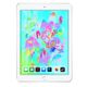 iPad-6ª-Geracao-Tela-Retina-9.7”-128GB-Wi-Fi---Prata-Apple