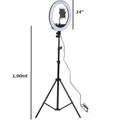 Ring-Light-14----Tripe-190cm Ring-Light-14----Tripe-190cm